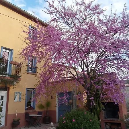 L'art De Vivre Bed & Breakfast Latour-de-France
