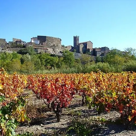 L'art De Vivre Bed and breakfast Latour-de-France